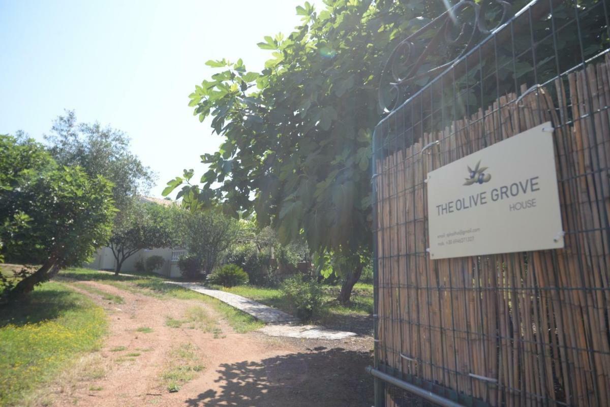 The Olive Grove House Villa Kassiopi Exterior foto